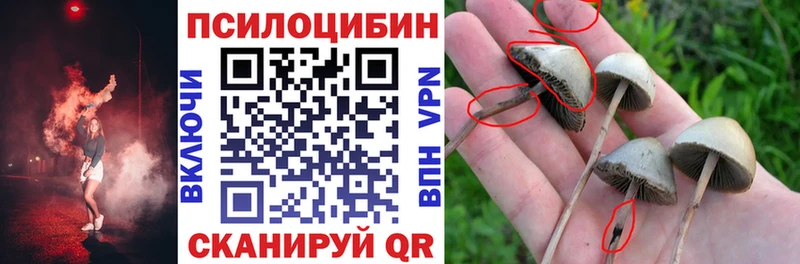 Псилоцибиновые грибы Cubensis  нарко площадка состав  Обоянь  что такое  
